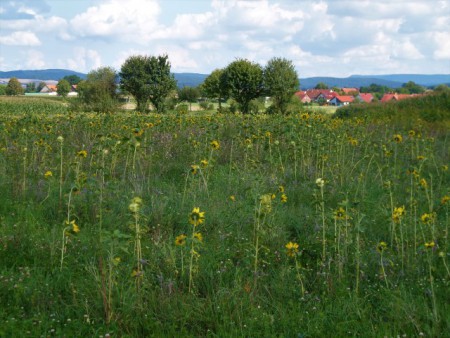 Duitsland, Friedriechshagen (2017)